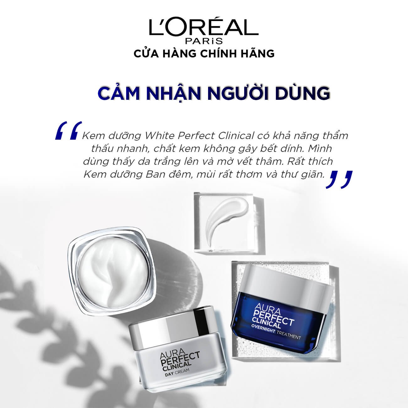 Complementary Image 5